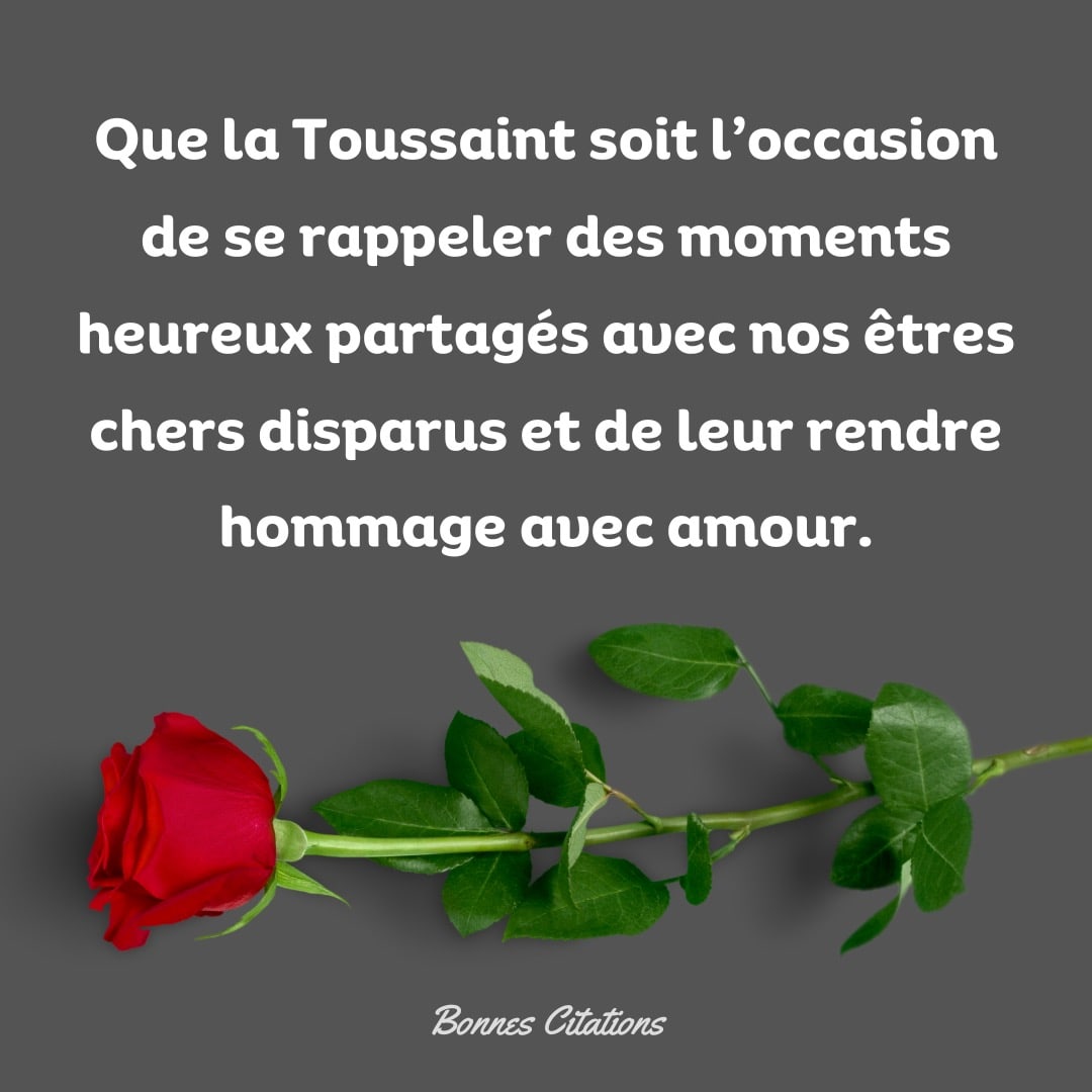 message de la Toussaint avec rose rouge